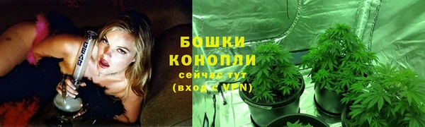 дживик Арсеньев
